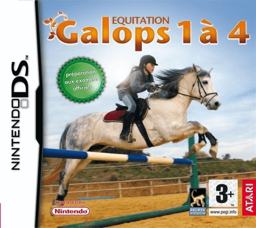 Equestrian Training