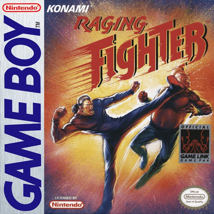 Raging Fighter