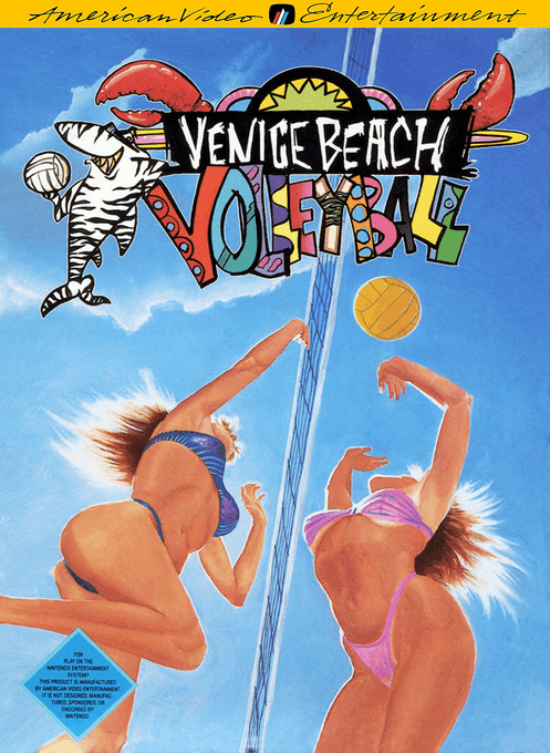 Venice Beach Volleyball