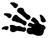 Fossile