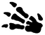 Fossile