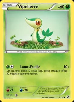 Carte Pokémon