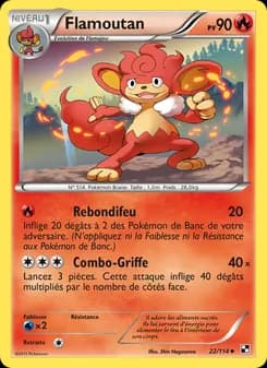 Carte Pokémon