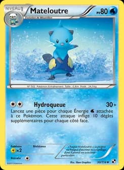 Carte Pokémon