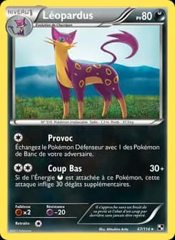 Carte Pokémon