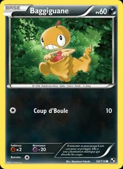 Carte Pokémon