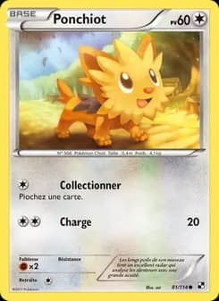 Carte Pokémon