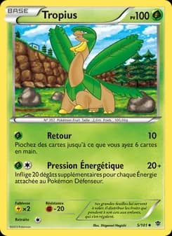 Carte Pokémon