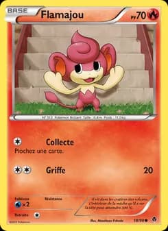 Carte Pokémon