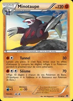 Carte Pokémon