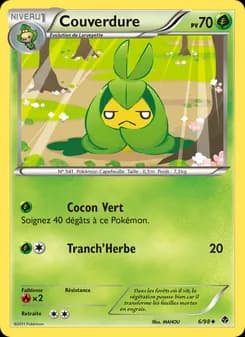 Carte Pokémon