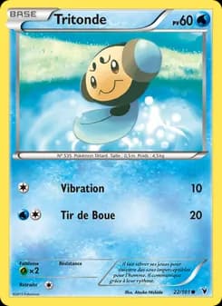 Carte Pokémon