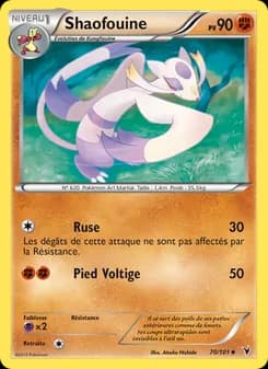 Carte Pokémon
