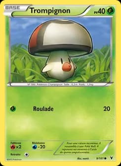 Carte Pokémon