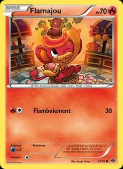 Carte Pokémon