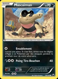 Carte Pokémon
