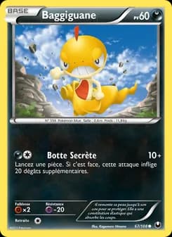 Carte Pokémon