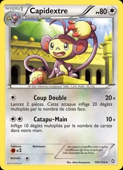Carte Pokémon