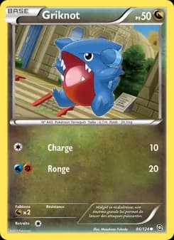 Carte Pokémon