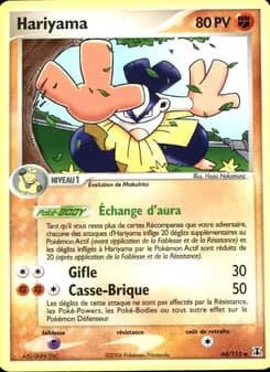Carte Pokémon