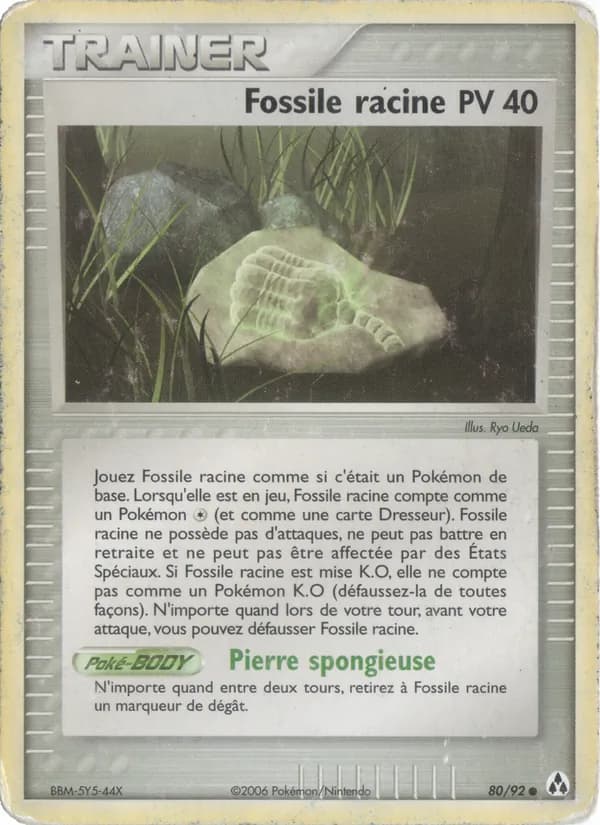 Fossile racine