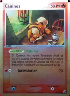Carte Pokémon