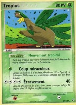 Carte Pokémon
