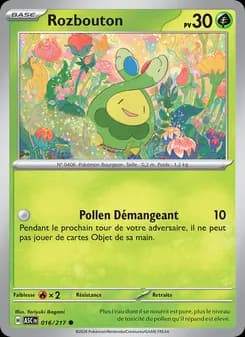 Carte Pokémon