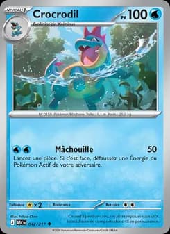 Carte Pokémon