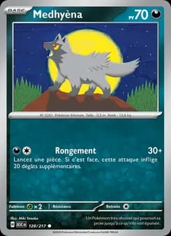 Carte Pokémon