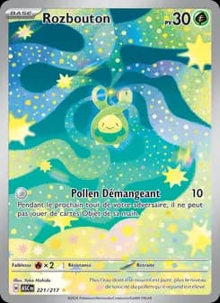 Carte Pokémon