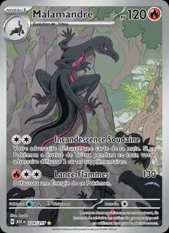 Carte Pokémon