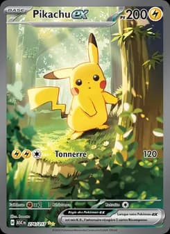 Carte Pokémon
