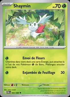 Carte Pokémon