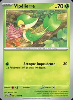Carte Pokémon