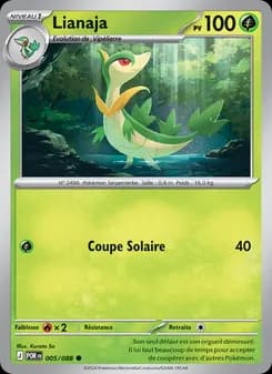 Carte Pokémon