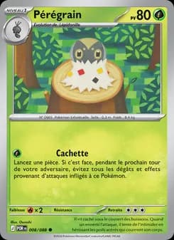 Carte Pokémon