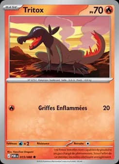 Carte Pokémon