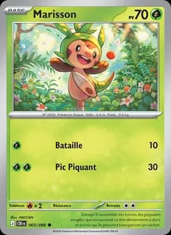 Carte Pokémon