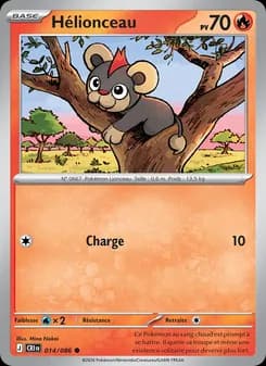 Carte Pokémon