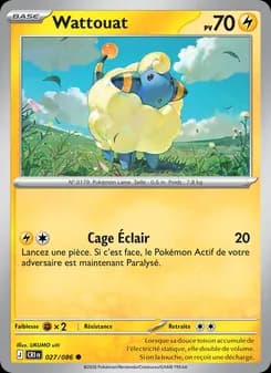 Carte Pokémon