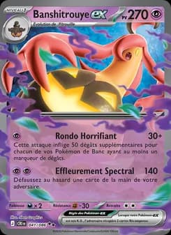 Carte Pokémon
