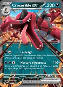 Carte Pokémon