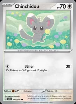 Carte Pokémon