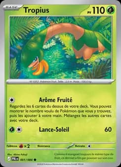 Carte Pokémon