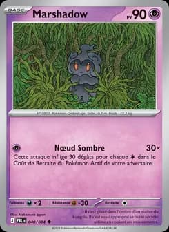Carte Pokémon
