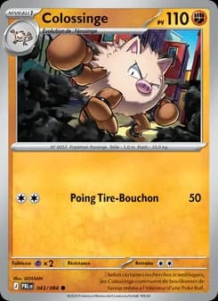Carte Pokémon