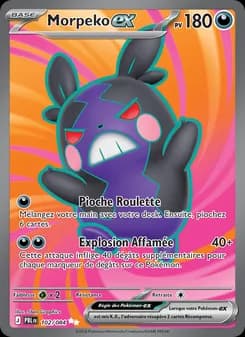 Morpeko-ex 102 — Nuit Noire
