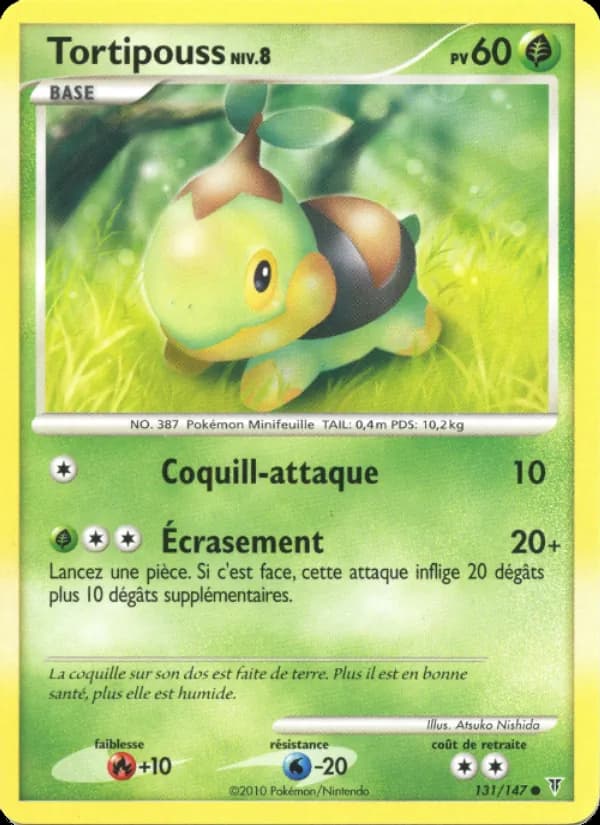 Tortipouss