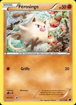 Carte Pokémon